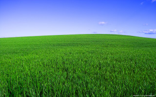 Green grass blue sky clouds 15 - green grass free wallpaper