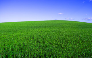 Green grass blue sky clouds 16 - green grass free wallpaper