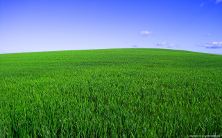 Green grass blue sky clouds 7 - green grass free wallpaper
