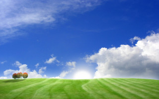 Grassy field three trees blue 3 - grassy free wallpaper for desktop