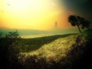 Sunset tree hill bird flying - christopher moeller free wallpaper