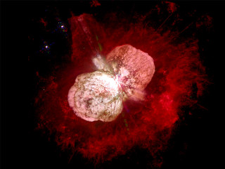 Red black flower cosmic moon - cosmic free wallpaper
