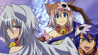 Anime characters long hair big - a cat costume free wallpaper