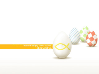 Group of eggs with message - wrong free wallpaper