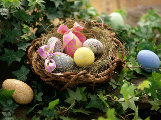 Basket filled eggs green field 4 - egg free wallpaper