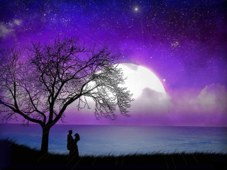 Couple tree purple sky full - dreamlike free wallpaper for desktop