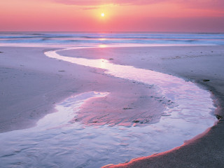 Sunset beach stream person walking - betye saar free wallpaper for desktop