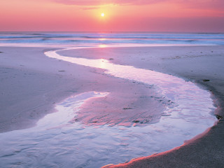 Sunset beach stream person walking 4 - pastel color palette free wallpaper