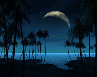 Full moon tropical island night 2 - palm tree and a body of water free wallpaper