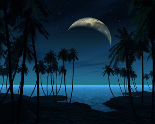 Full moon tropical island night 4 - palm tree and a body of water free wallpaper