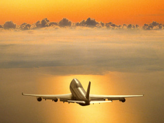 Plane flying sky sun clouds 3 - a yellow sky free wallpaper