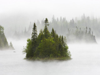 Small island lake trees foggy 5 - a small island in the middle of a lake free wallpaper