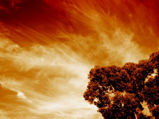 Tree red sky clouds background 4 - david alfaro siqueiros free wallpaper