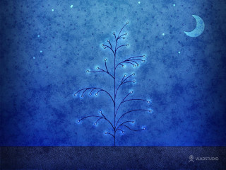 Blue background plant moon stars - white background free wallpaper for desktop