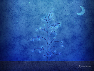Blue background plant moon stars 4 - nighttime free wallpaper