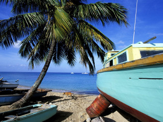 Boat beach palmtree ocean sky - a sandy beach next free wallpaper