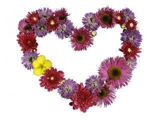 Heart shaped flower arrangement yellow 2 - the shape of a heart free wallpaper