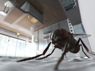 Fly closeup building light fixture - a surface free wallpaper