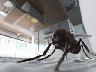 Fly closeup room ceiling light - beeple free wallpaper