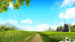 Dirt road lush green field 6 - a lush green field free wallpaper
