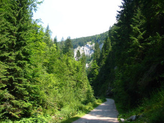 Road trees mountain sky clouds 4 - tree and a mountain in the background free wallpaper