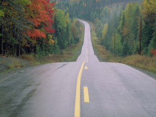 Forest road yellow line matte - a long road free wallpaper