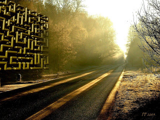 Road yellow sign trees background 3 - a yellow sign free wallpaper