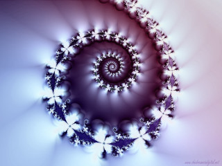 Spiral flowers blue pink white - a white center free wallpaper for desktop