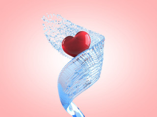 Heart glass vase water pink 6 - a glass vase free wallpaper