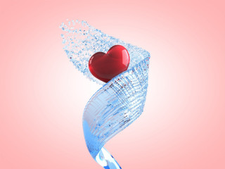 Heart glass vase water pink 2 - a pink border free wallpaper