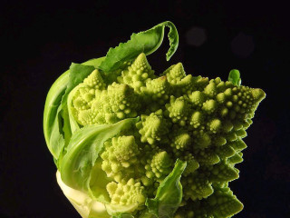 Broccoli fractals macro black background - romanesque free wallpaper