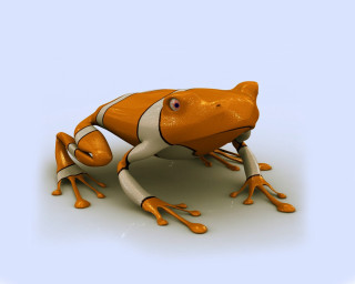 3d rendering frog orange white - 3 d model free wallpaper
