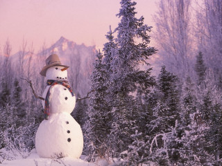 Snowman hat scarf snow forest - brian snøddy free wallpaper for desktop