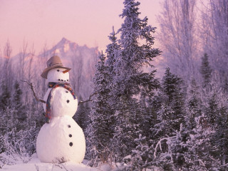 Snowman hat scarf snow forest 2 - brian snøddy free wallpaper for desktop