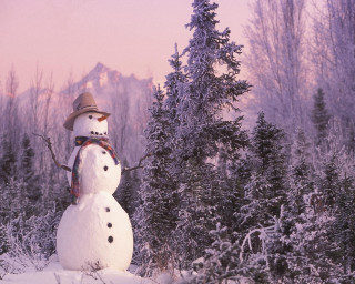 Snowman hat scarf snow forest 3 - brian snøddy free wallpaper for desktop