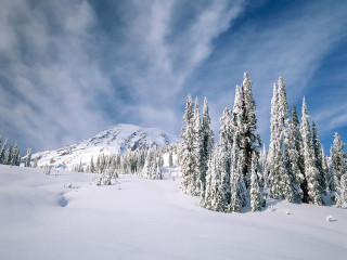 Snow covered mountain trees sky 3 - tree and a sky background free wallpaper