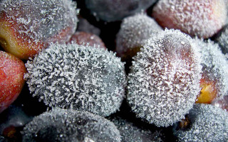 Closeup frosted plums sugary crystals - a.b. frost free wallpaper for desktop