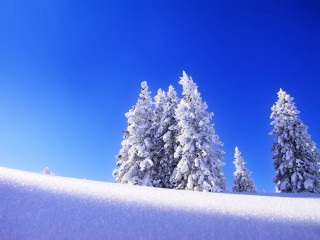 Snow covered hill trees blue 2 - hill free wallpaper