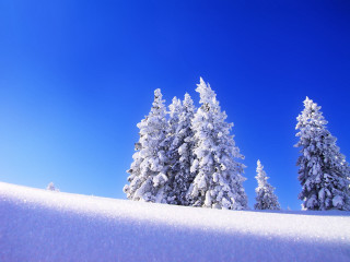 Snow covered hill trees blue 3 - hill free wallpaper