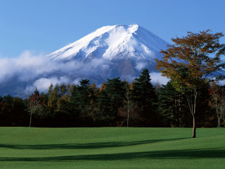 Snow mountain trees golf green - mountain in the distance free wallpaper