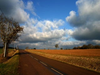 Road tree field clouds sky 3 - the side of it free wallpaper