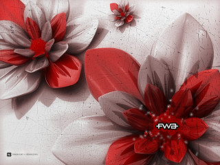 Red white flower abstract concept - bernard fleetwoodwalker free wallpaper for desktop