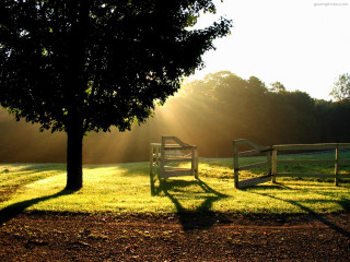 Benches field tree bench under 2 - bright morning free wallpaper