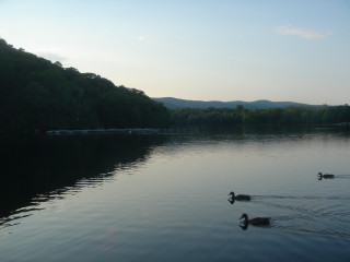 Ducks swimming lake forest mountains 4 - the background and a boat free wallpaper