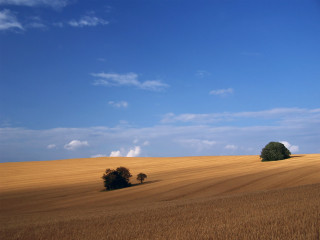 Field trees gradient sky mountain - landscape free wallpaper