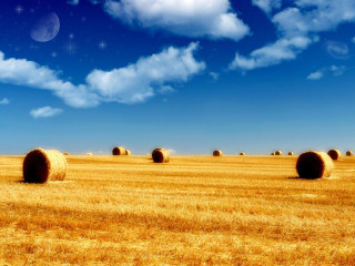 Hay field bales full moon - a field of hay free wallpaper