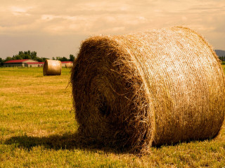 Hay bale field barn cloudy 2 - david ramsay hay free wallpaper