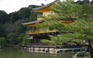 Yellow roof building tree water - eizō katō free wallpaper