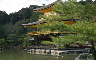 Yellow roof building tree water 2 - eizō katō free wallpaper for desktop