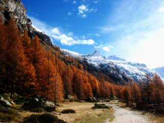 Dirt road trees mountain clouds 3 - mountain in the distance free wallpaper